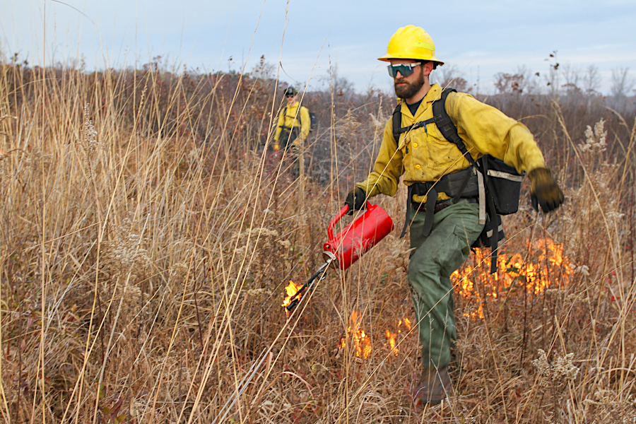 prescribed fire requires igniting grasslands/forests in a designed burn
