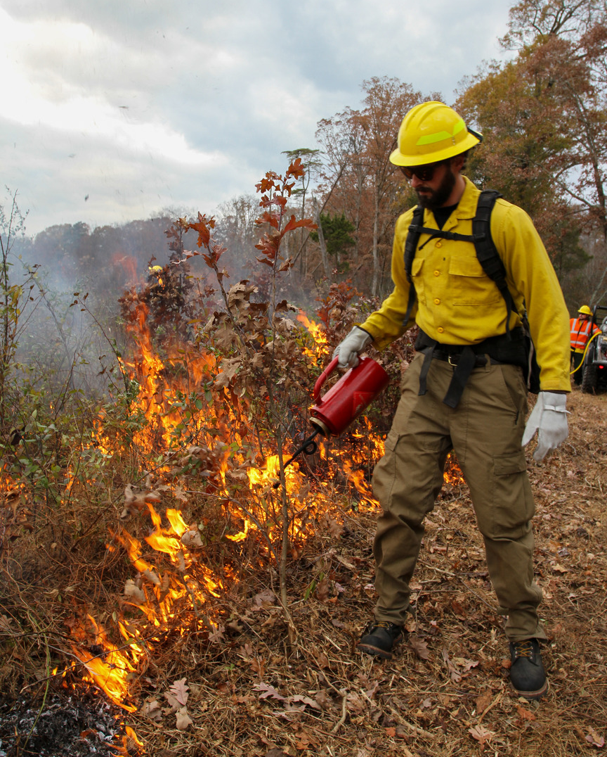 firebreaks are established before prescribed fires are ignited