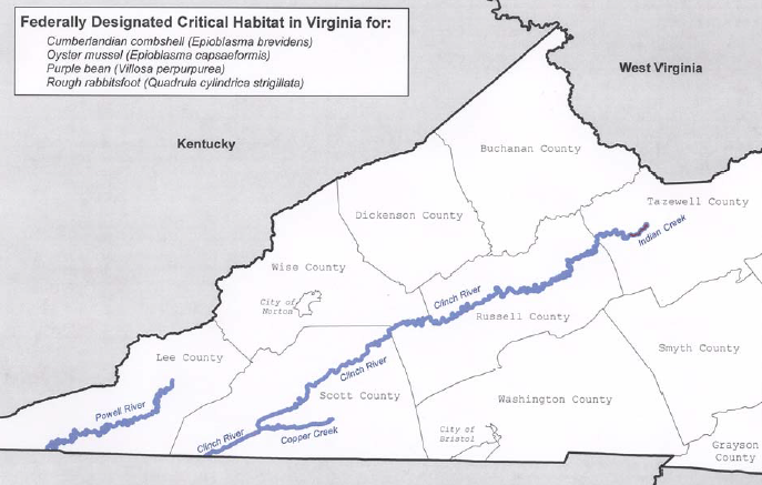some mussel species in Virginia can live for over 100 years, if their habitat is not altered by excessive silt from upstream construction