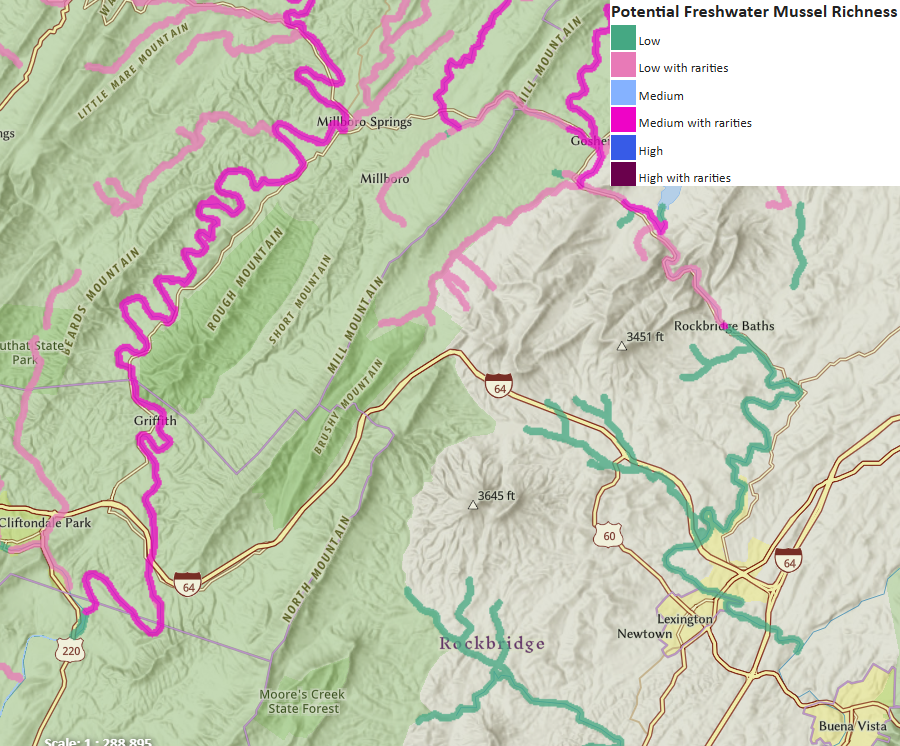 different river segments offer mussel habitat of different value