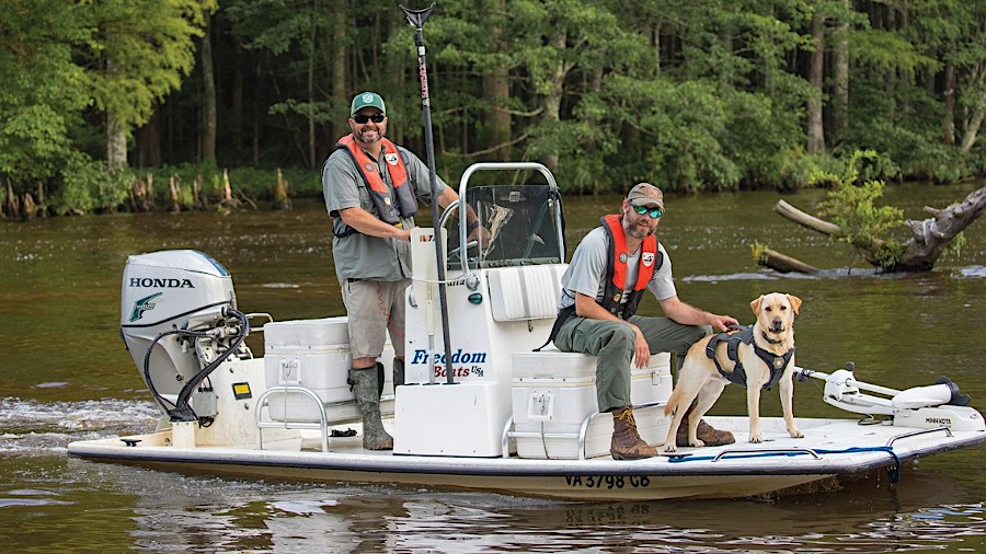 dogs smell the presence of nutria, helping biologists to determine where to set traps