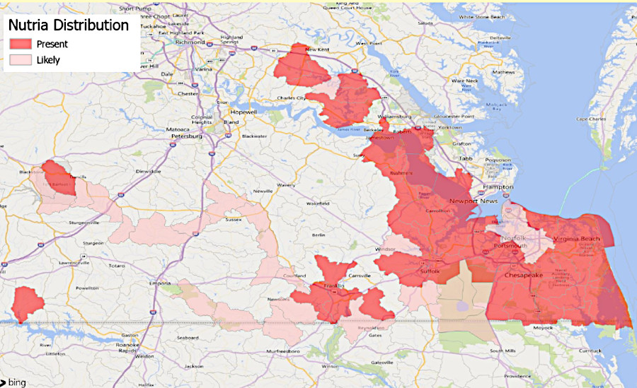by 2024, nutria had expanded north of the Chickahominy River and west into the Piedmont drainages of the Blackwater and Roanoke rivers