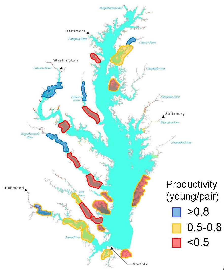 in 2025, osprey reproduction varied significantly between freshwater and saltwater zones in the Chesapeake Bay
