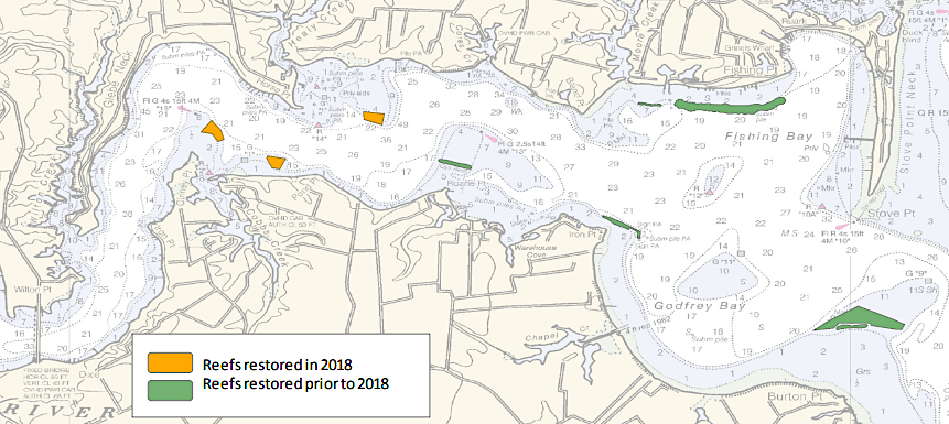 new reefs have been planted in the Piankatank River