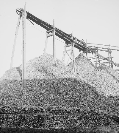 oyster shells removed from the Chesapeake Bay were often used for construction, rather than recycled to support another generation
