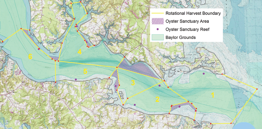 Rappahannock River Oyster Management Areas