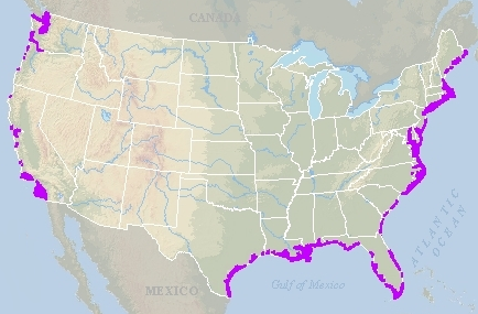 oysters grow along the Atlantic Ocean, Gulf of Mexico, and Pacific Ocean