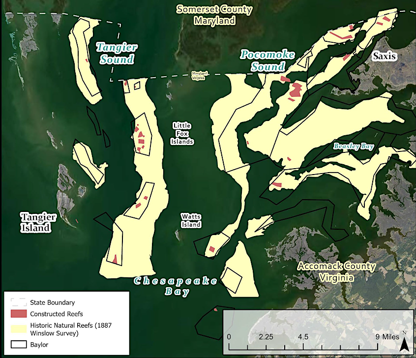 mapping the bottom of the Chesapeake Bay facilitated identifying the best sites for planting new oyster reefs