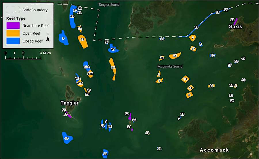 reefs were planned for shoreline protection, as well as for sanctuaries (closed) and commercial harvest (open)