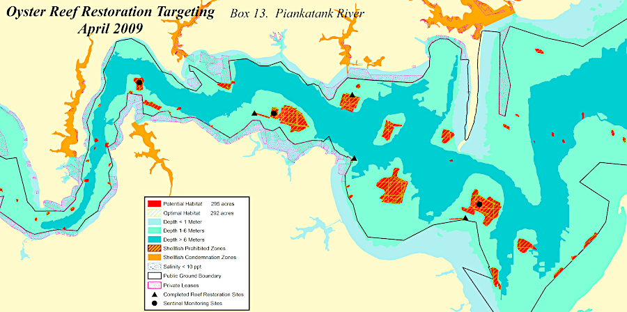 the plan to restore 438 acres of oyster reef on the Piankatank River was the largest such project in the world