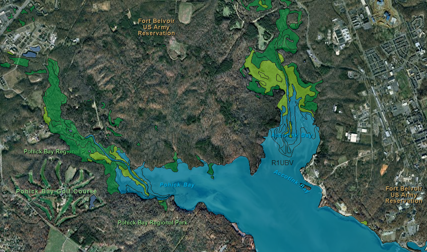 wetlands mapped at mouth of Pohick Creek and Accotink Creek