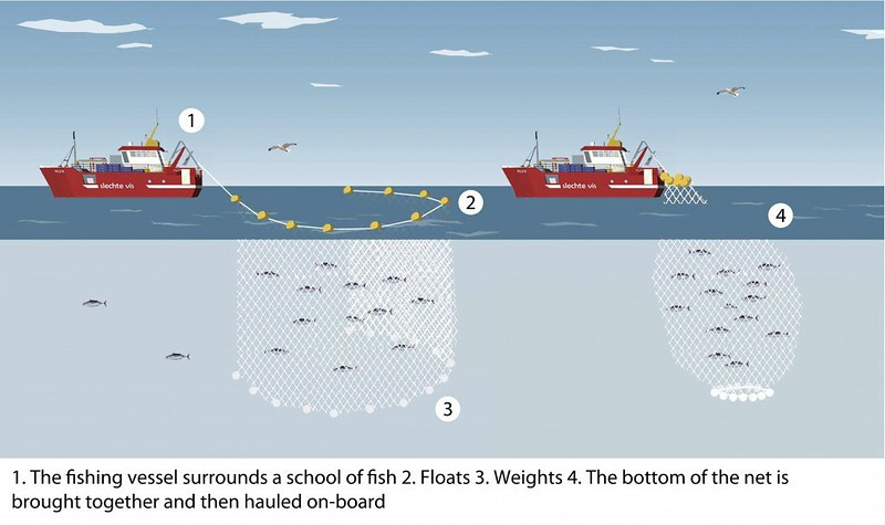 Ocean Harvesters reported there was just one spill for every 1,000 times a purse seine was set