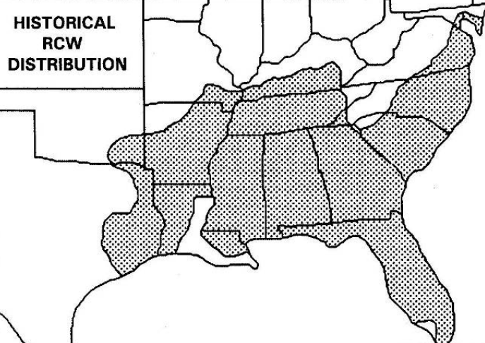 Virginia is at the northern edge of the range for longleaf pine forests and red-cockaded woodpeckers