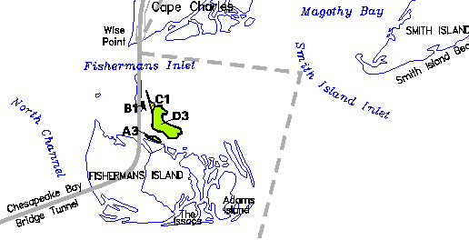 submerged aquatic vegetation at Cape Charles