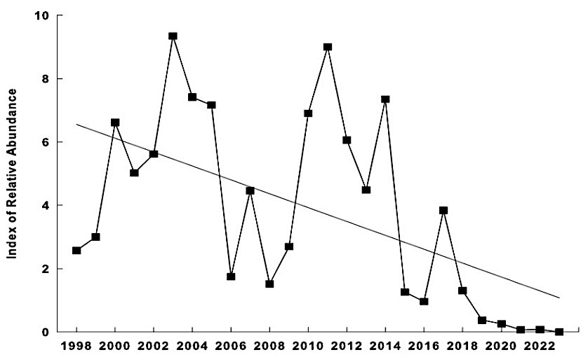 decline of the shad population in the James River