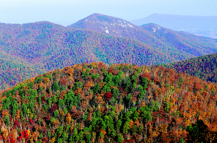 changing colors in Shenandoah National Park attract tourists each Fall