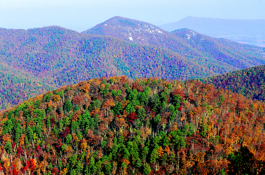 changing colors in Shenandoah National Park attract tourists each Fall