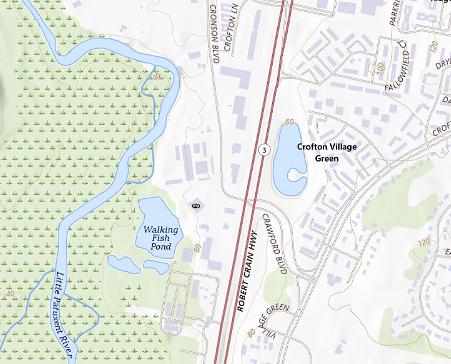 the site behind the post office in Crofton, Maryland, where snakeheads were found in 2002, is now called Walking Fish Pond