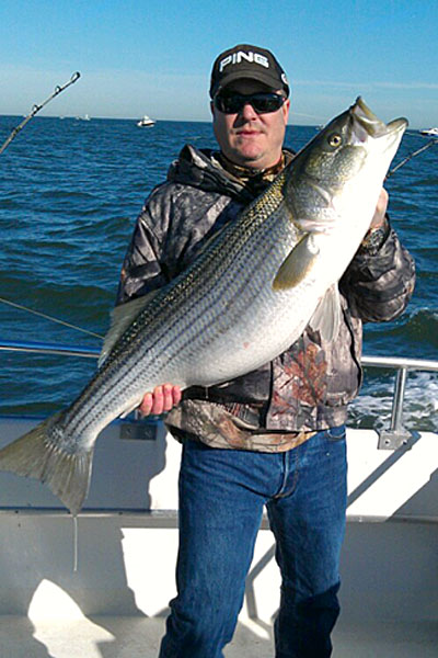 the Virginia Saltwater Sportfishing Association argues that lower limits of menhaden harvest would increase food for striped bass