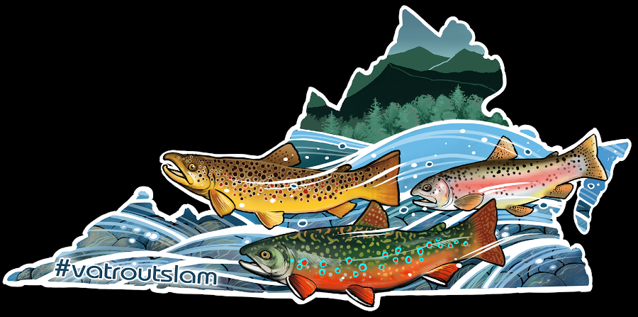 Virginia has brook, rainbow, and brown trout swimming wild in streams, plus stocked fish of all three species