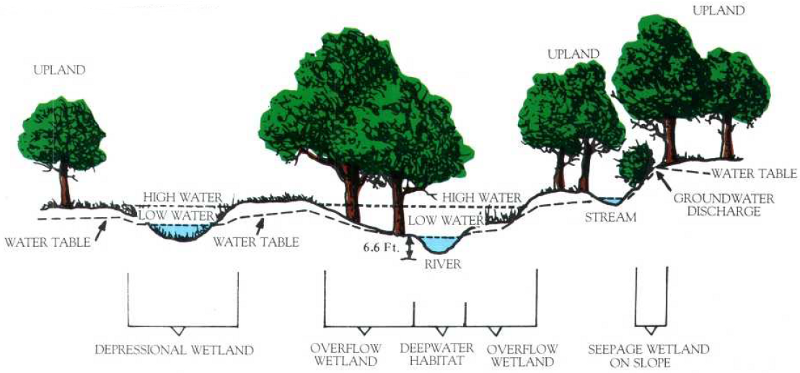 wetland locations