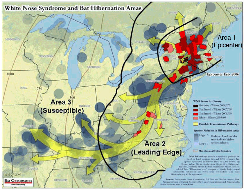 spread of white-nose syndrome, from New England into Virginia/Tennessee