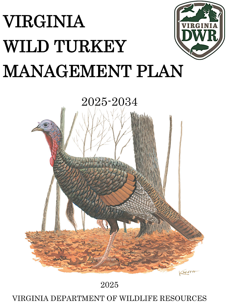 the wild turkey management plan includes objectives and strategies to achieve those objectives
