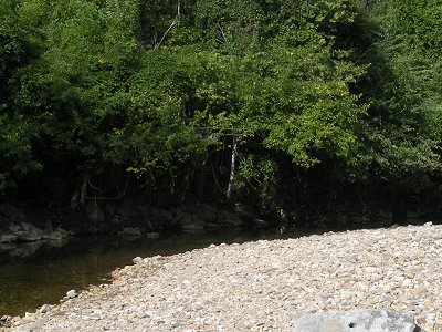 gravel and cobbles, formed as bedrock erodes, on Four Mile Run at Barcroft Bog