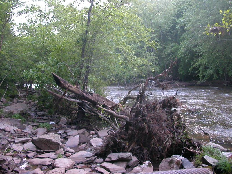 Bull Run - effect of erosion downstream from Clifton and Pope's Head Creek