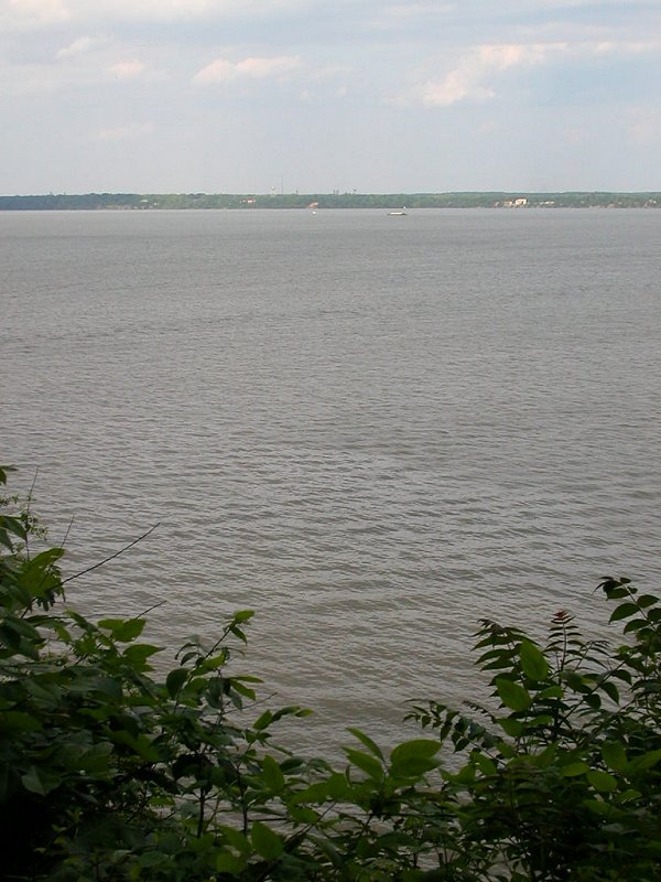 view across Potomac River to Maryland, at Leesylvania State Park