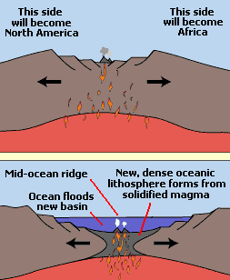 formation of mid-ocean ridge
