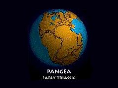 Pangea before the breakup