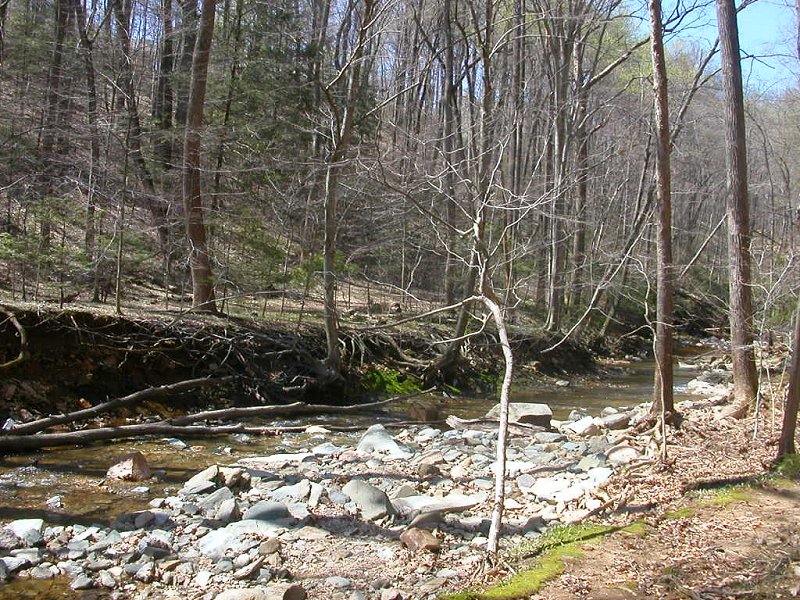 eroded streambanks at Scotts Run, between Great Falls and American Legion Bridge