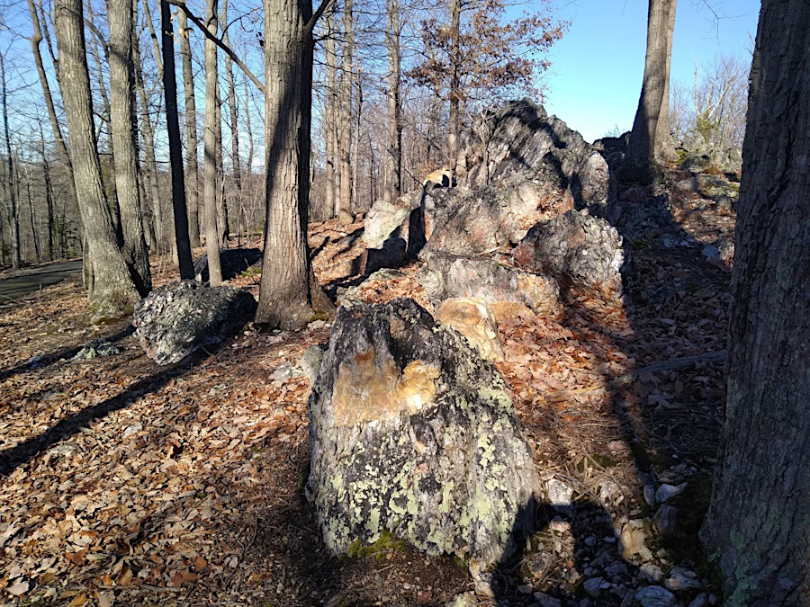 the metamorphic rock of the Western Piedmont terrane is exposed in Blooms Park (City of Manassas Park)