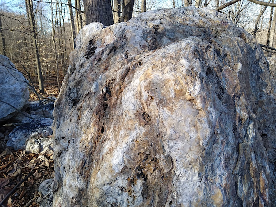 the bedrock of the Western Piedmont terrane was metamorphosed, particularly in the Alleghenian Orogeny