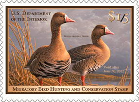 2011-12 Duck Stamp