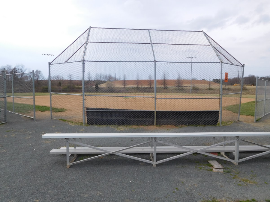 rectangular fields for soccer/football and diamonds for baseball require funding for annual maintenance