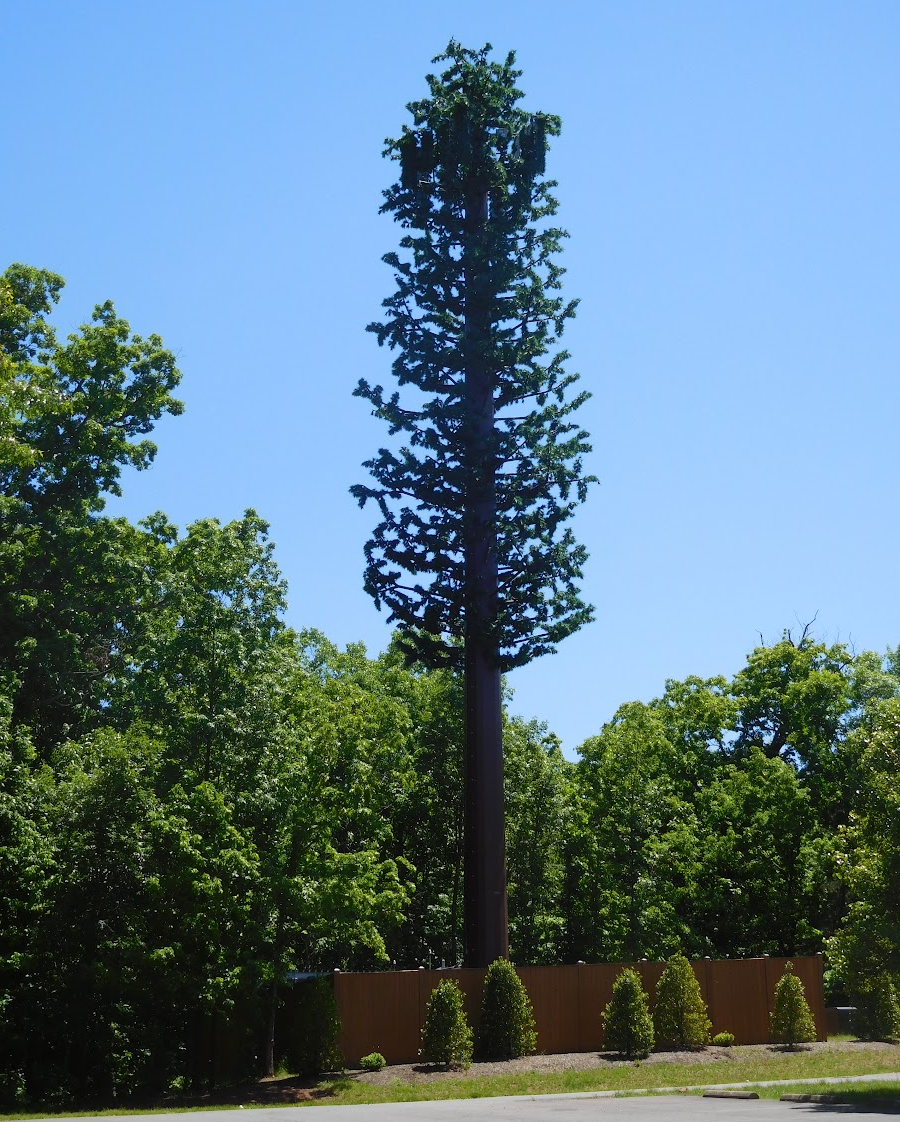 Manassas generates revenue for park operations by leasing space for a cellphone tower at Stonewall Park