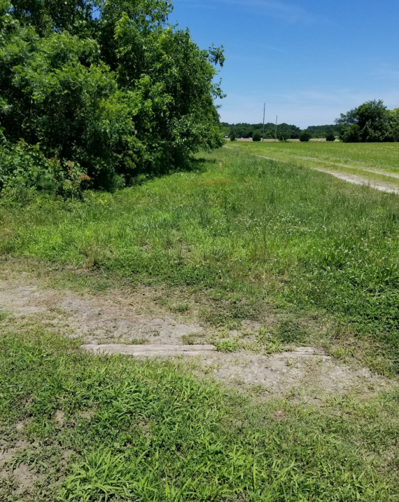 a tie from the New York, Philadelphia and Norfolk Railroad branch line to Kiptopeke still remains on the right-of-way