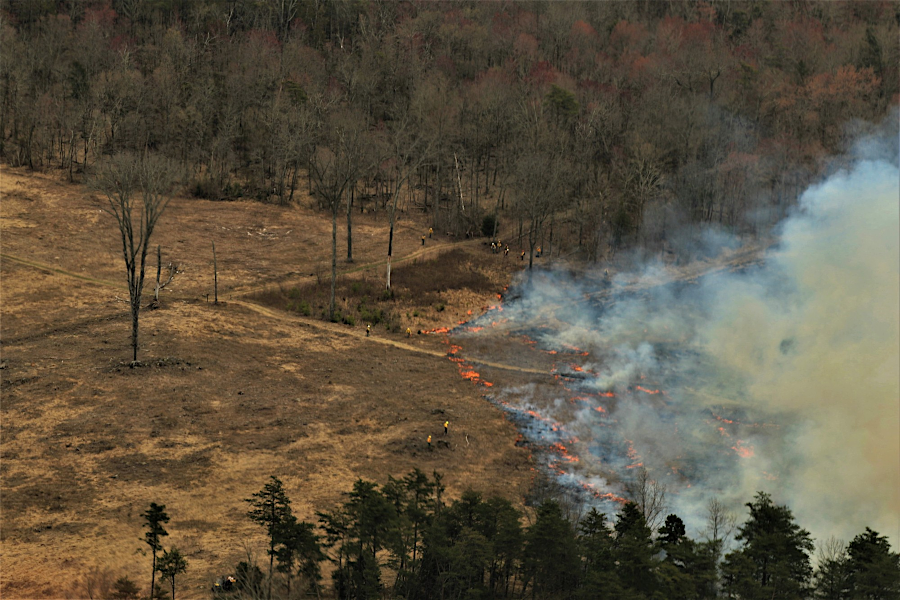 prescribed fire at Manassas Battlefield on March 29, 2019