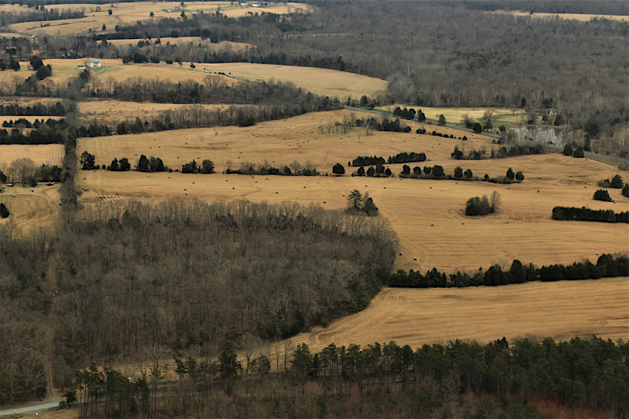 hayfields at Manassas Battlefield, north of Route 29 and east of Featherbed Road