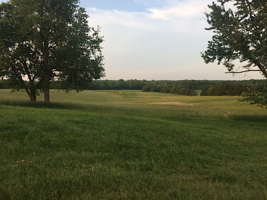 with over 40' of rain annually, active management is required to keep the fields at Manassas Battlefield from re-growing naturally into forests