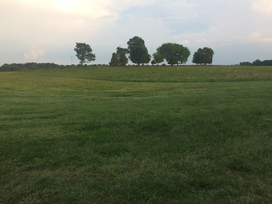 looking south towards the ridge where Portici once stood