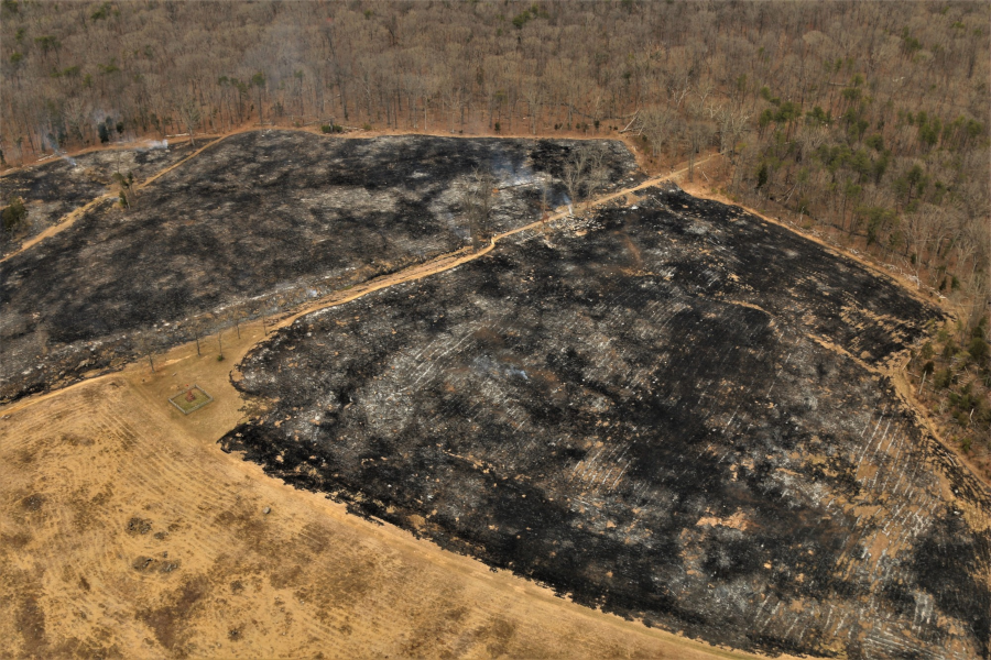 prescribed fire at Manassas Battlefield on March 29, 2019