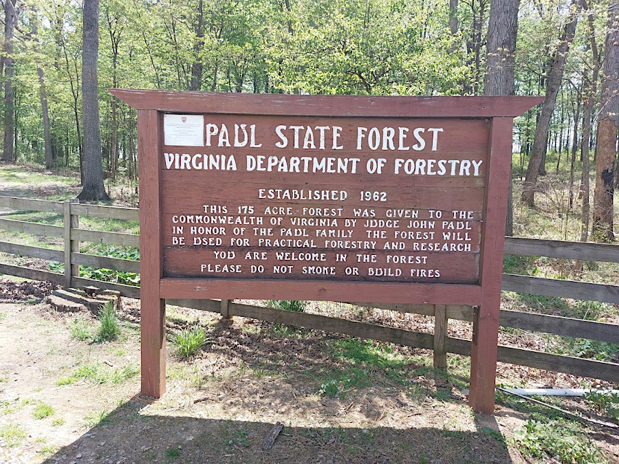 Paul State Forest is in Rockingham County, west of Harrisonburg