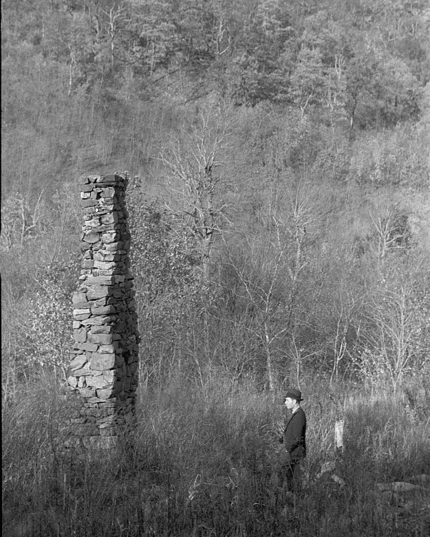 ruins of a former cabin in Corbin Hollow