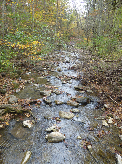 mountain streams attract trout anglers, as well as hikers on nearby trails