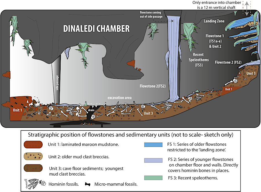 the oldest known intentional burial, if confirmed, would have occurred 236,000-335,000 years ago in Rising Star Cave in South Africa