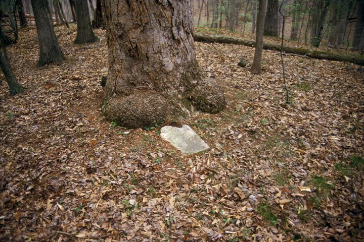 Prince William Forest Park includes 26 old graveyards