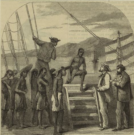 an unpaid labor force, imported from Africa, replaced indentured servants migrating from England